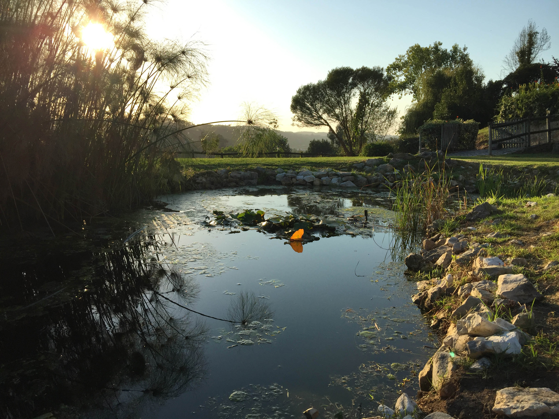 gard-pond-7c