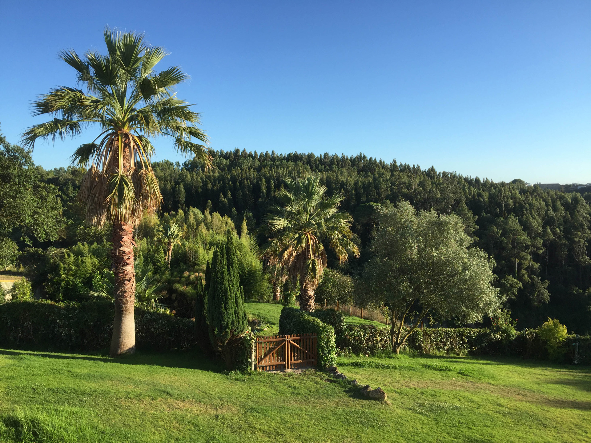 gard-view-7d