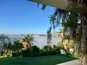 View from the Pergola above the mist
