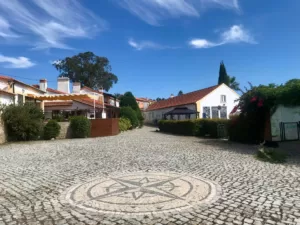 Vida-Ví's square view